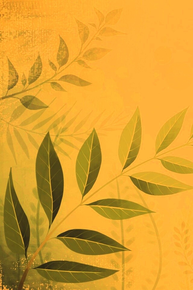 Веточка молодых листьев обои