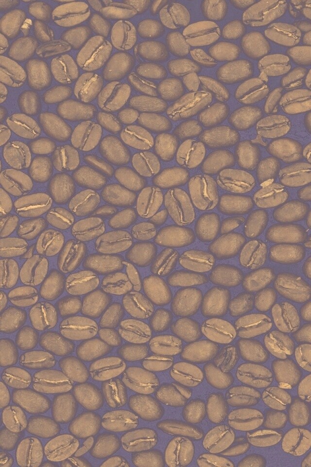 Зерна кофе обои