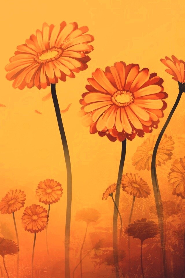 Векторные ромашки обои