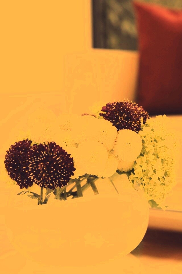 Цветы в белой вазе обои