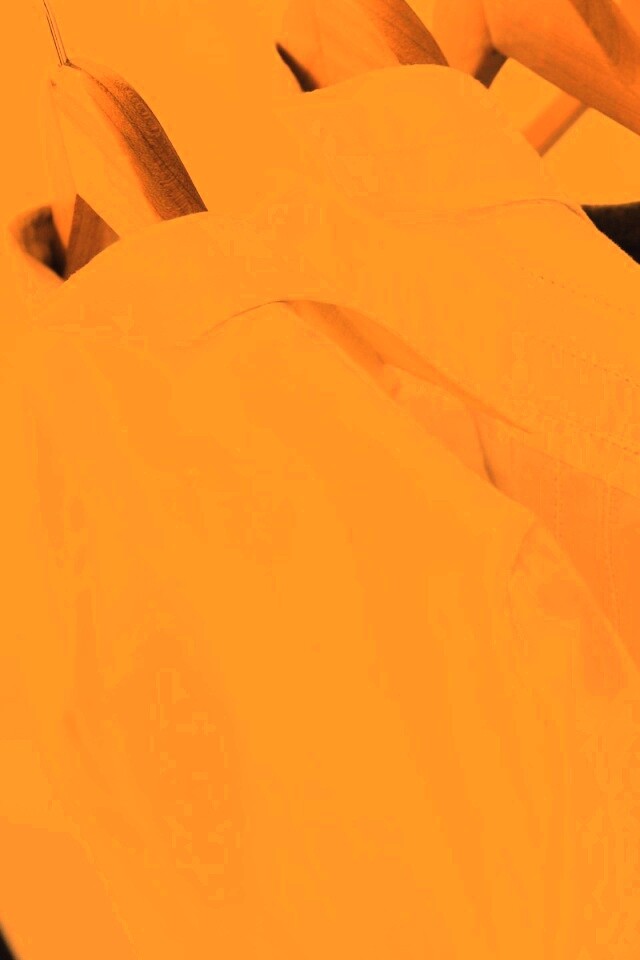 Вещи на вешалке обои