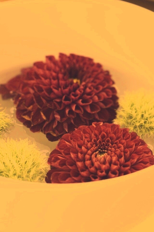 Чаша с цветами обои