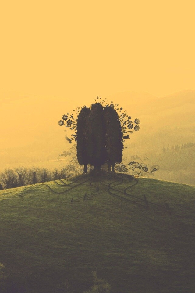 Деревья на холме обои