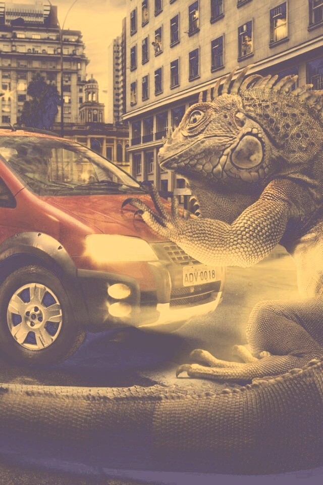 Ящерица в городе обои