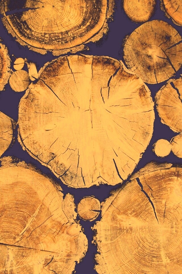 Древесный спил обои