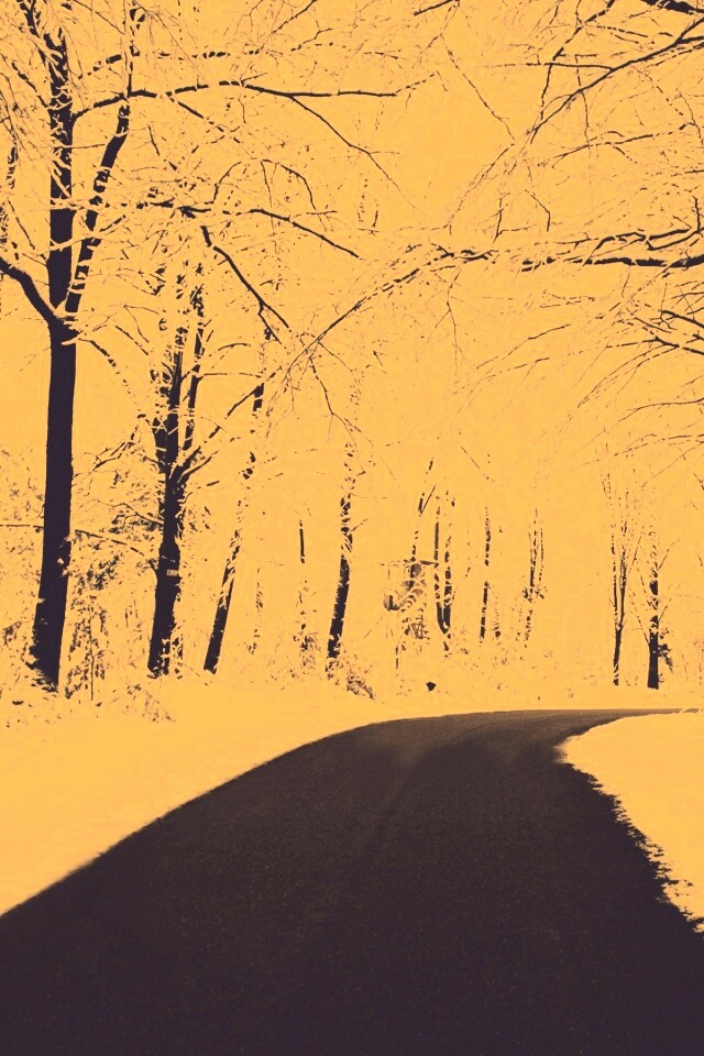 Дорога в зимнем лесу обои