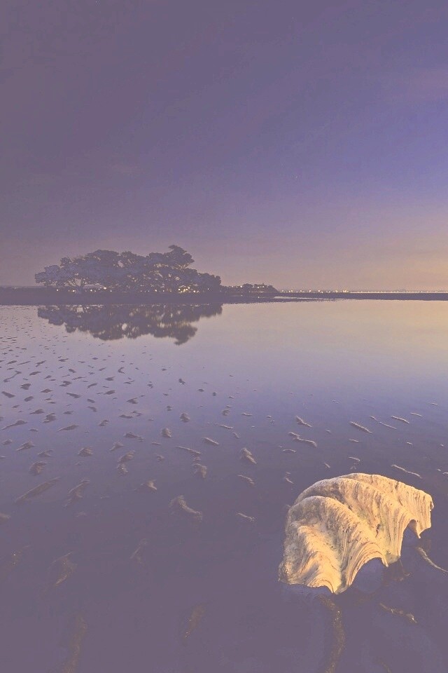 Закат на берегу моря обои