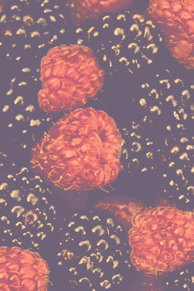 Малина и ежевика обои