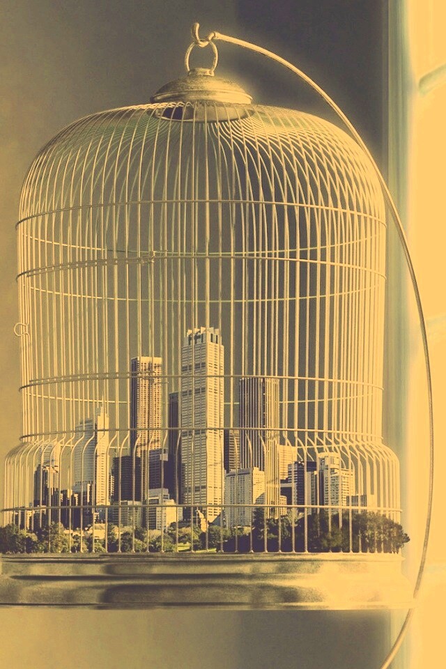 Город в клетке обои