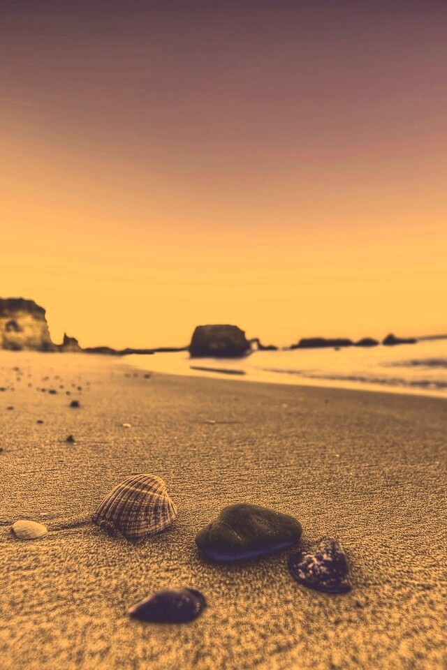 Океанский берег обои