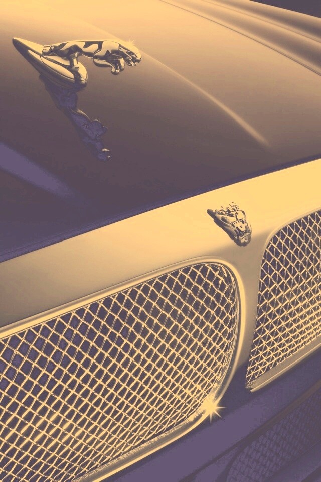 Капот и эмблема Ягуара обои