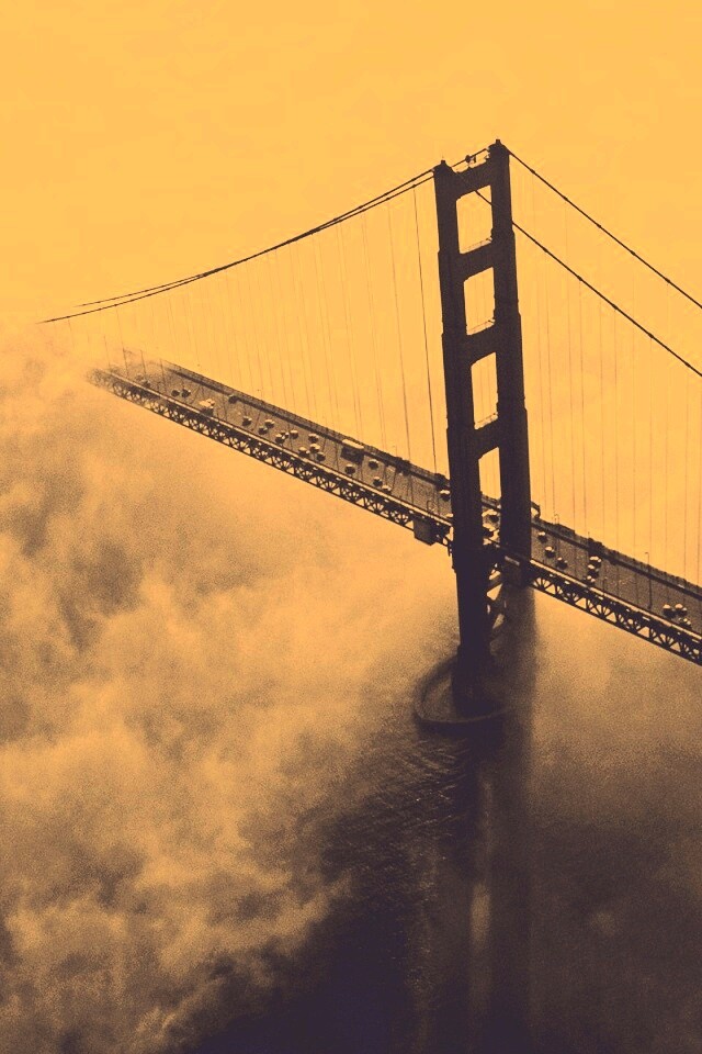 Мост Золотые ворота утопает в тумане обои