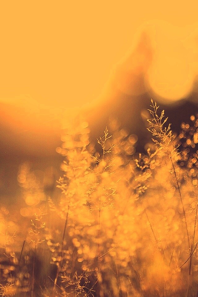 Посмотри на этот мир обои