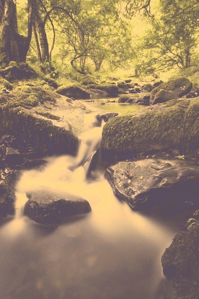 Речной поток в лесу обои