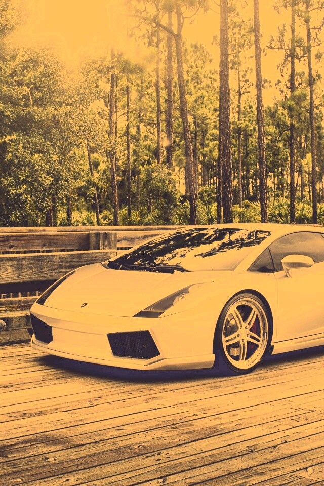 Ламбоджини на мосту в лесу обои