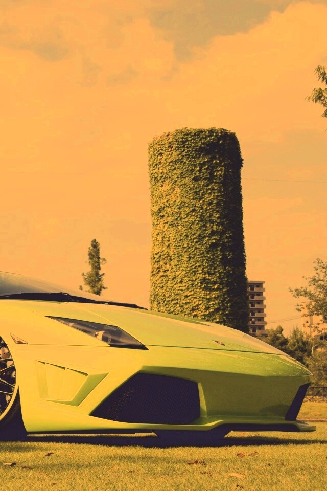 Зелёный Ламборджини на траве обои