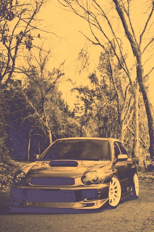 Субару Импреза на лесной дороге обои