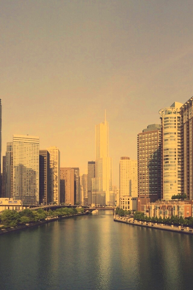 Вид на Чикаго обои