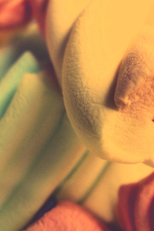 Кручёный зефир обои