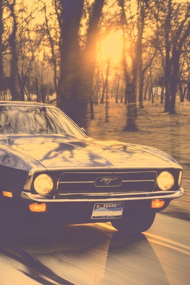 Мустанг обои