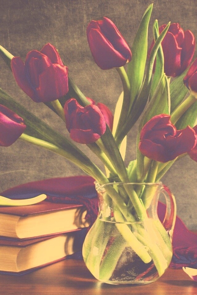 Букет красных тюльпанов обои