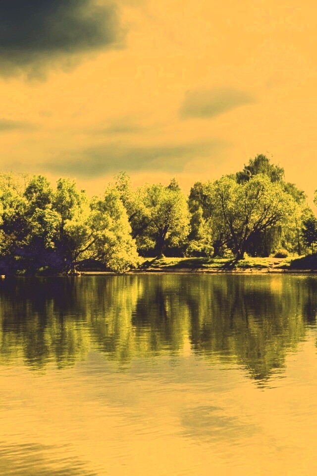 Деревья на берегу озера обои