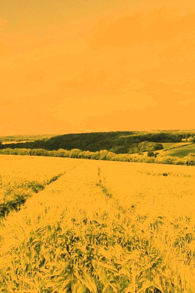 Бескрайние просторы обои