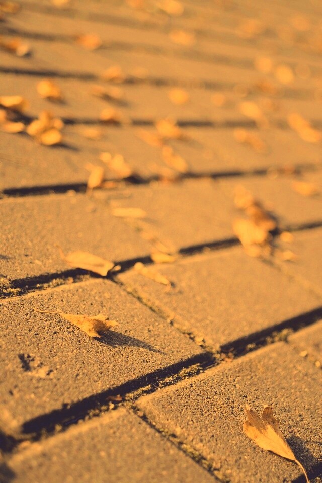 Тротуар обои