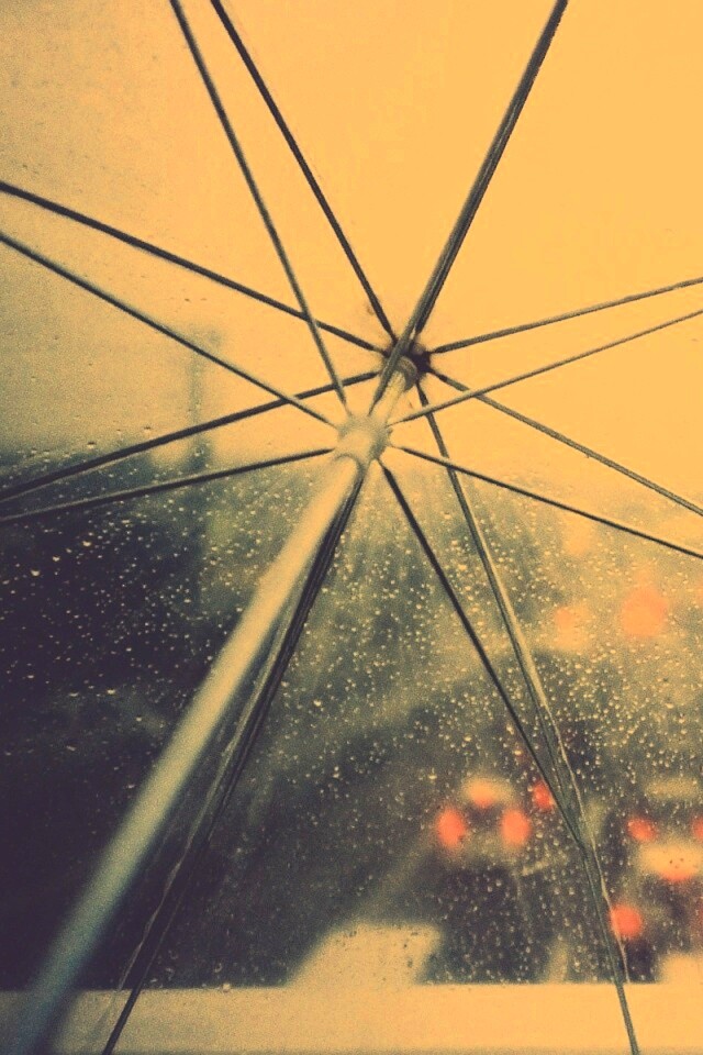 Вид сквозь прозрачный зонтик обои