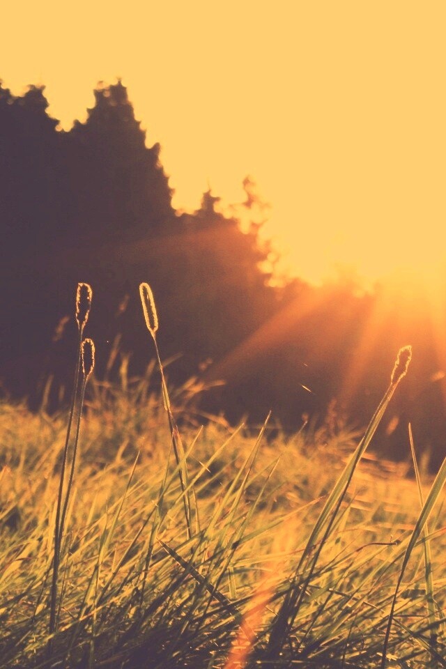 Красота природы обои