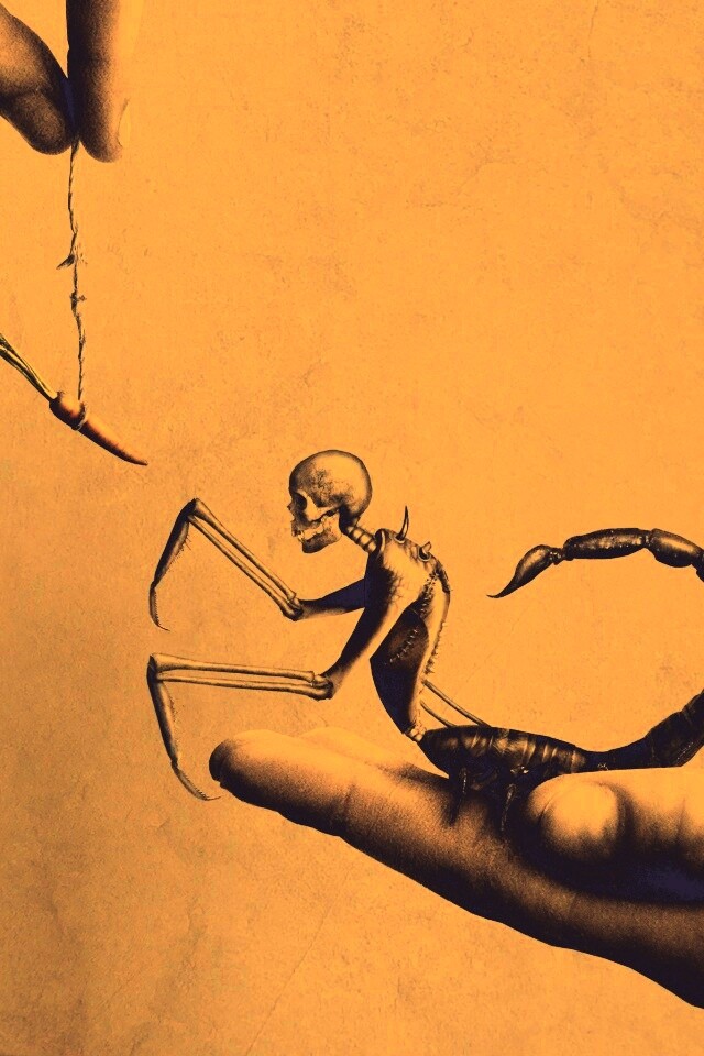 Кормёжка смерти обои