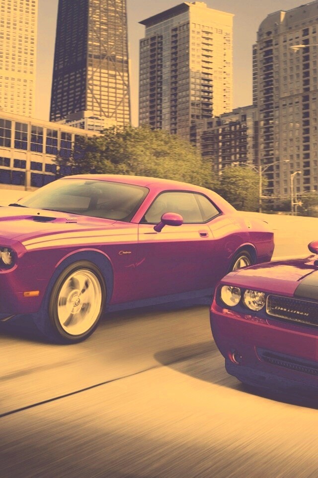 Два розовых мускулкара обои