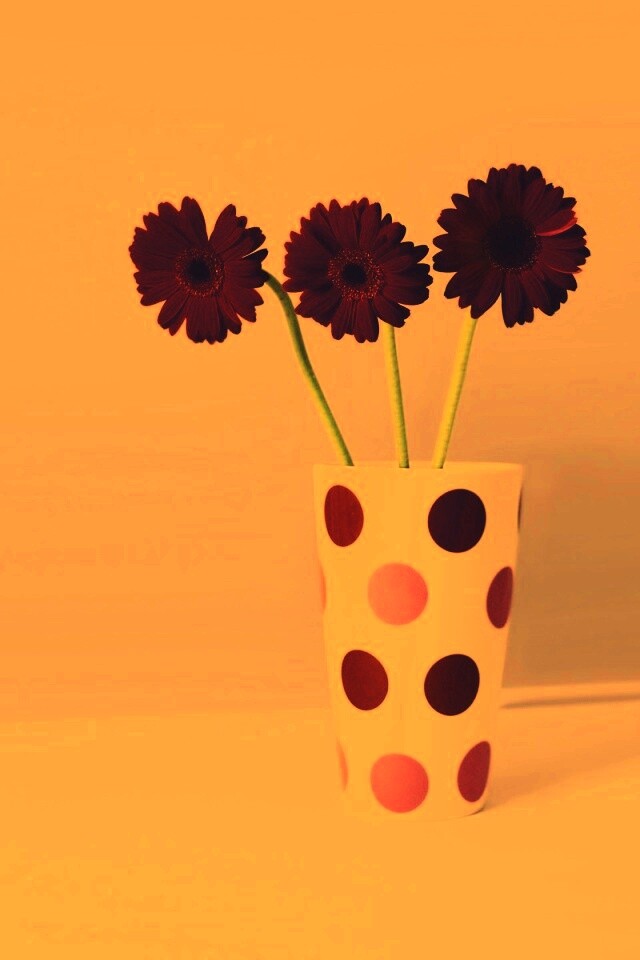 Вазочка с тремя красными герберами обои