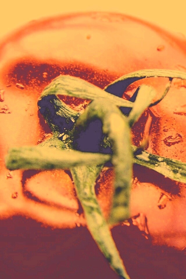 Свежая помидорка обои