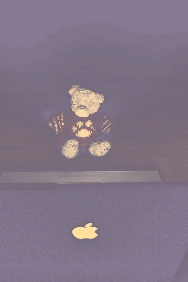 Плюшевый мишка за ноутбуком обои