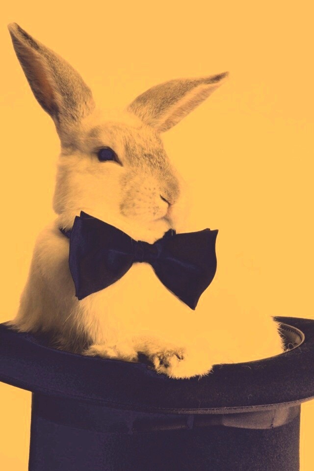 Кролик в цилиндре фокусника обои