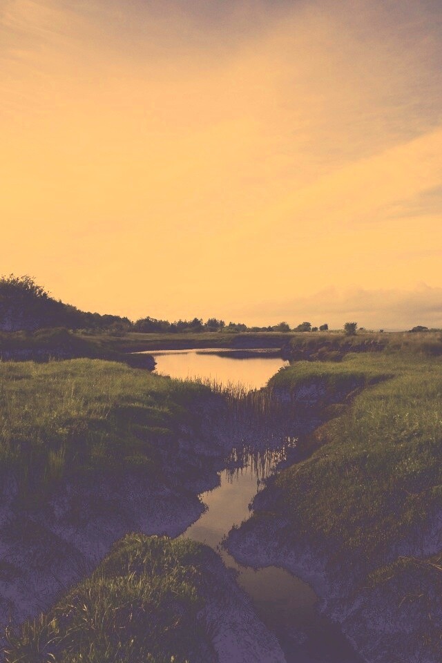 Канава и пруд обои