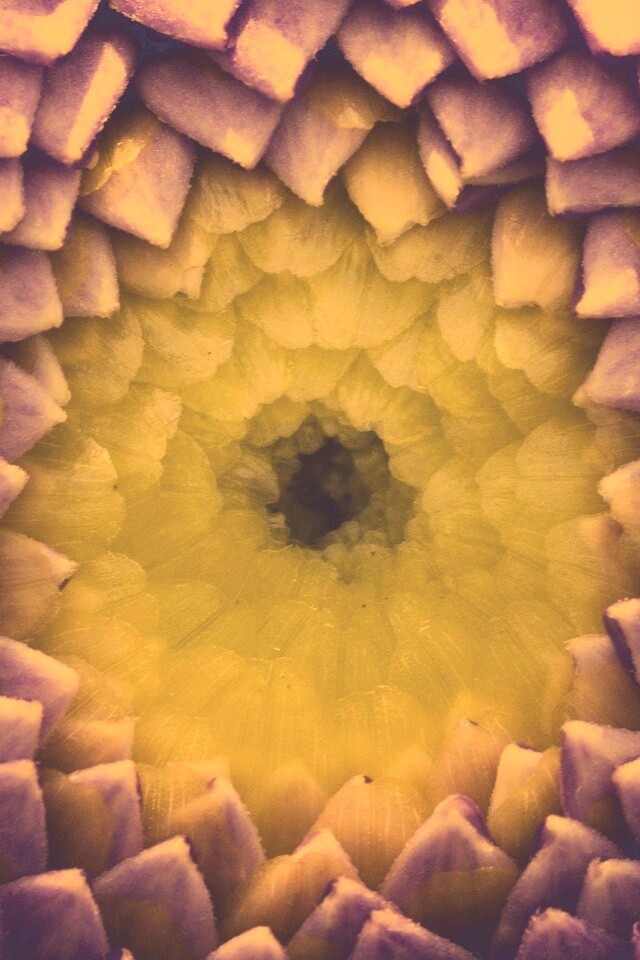 Сердцевина цветка обои