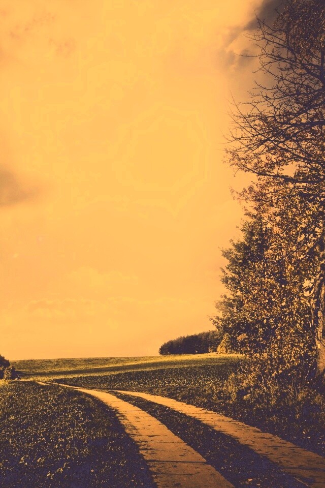 Солнечные холмы обои