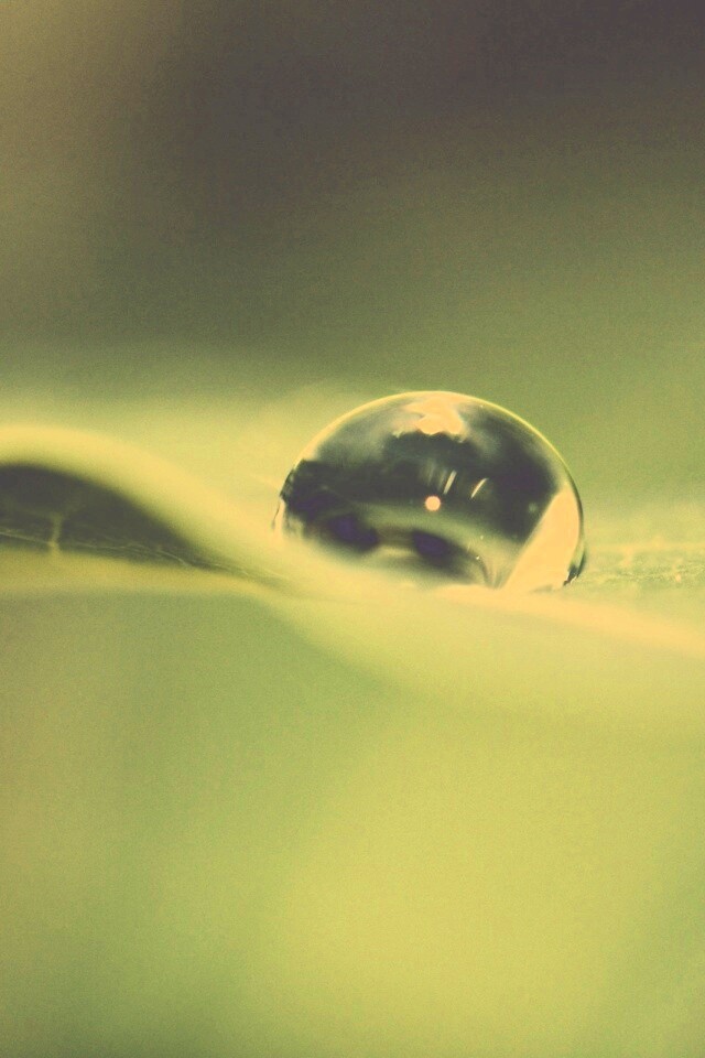 Фотография капли воды в макро обои