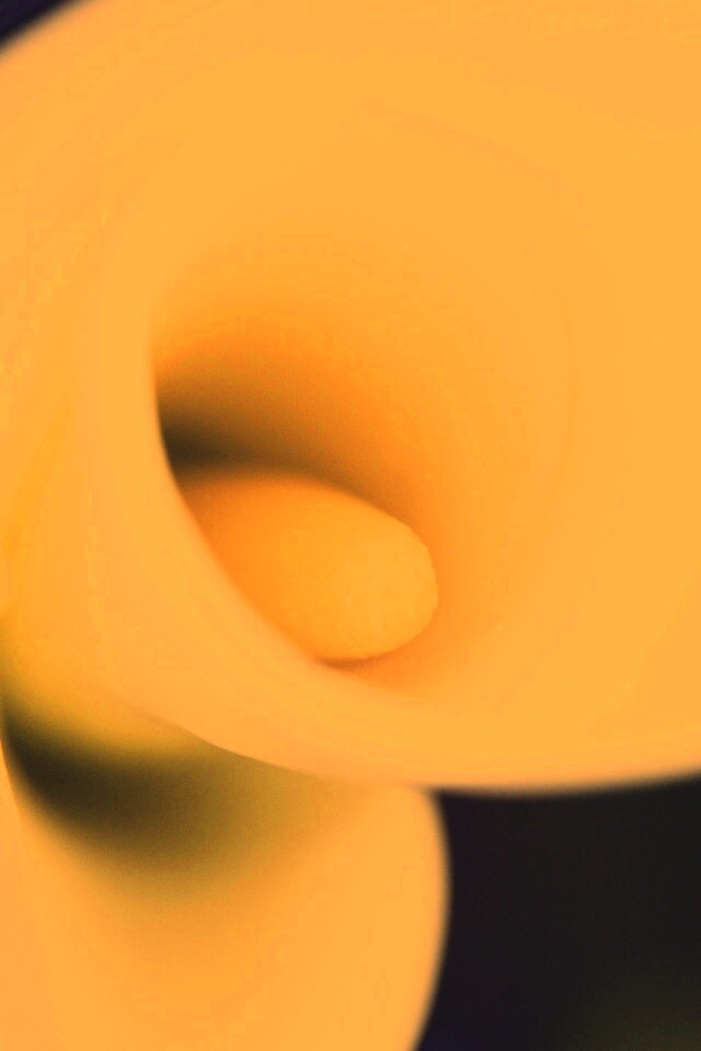 Спираль обои