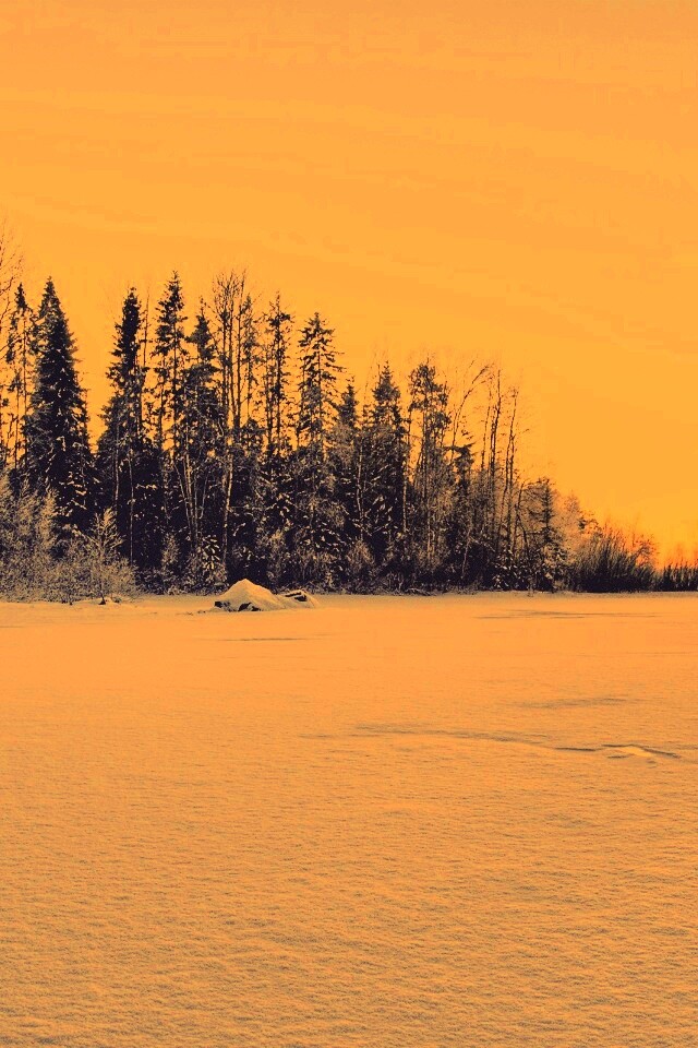 Зимний закат обои