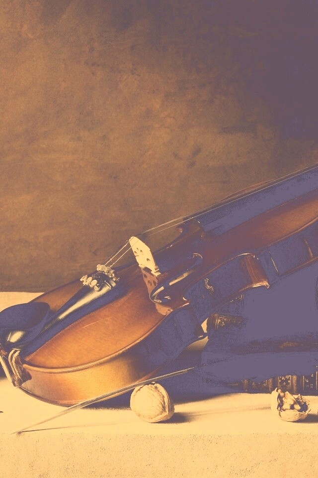 Композиция со скрипкой обои