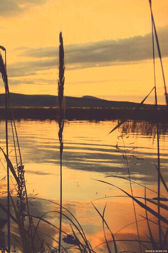 Закат на озере обои