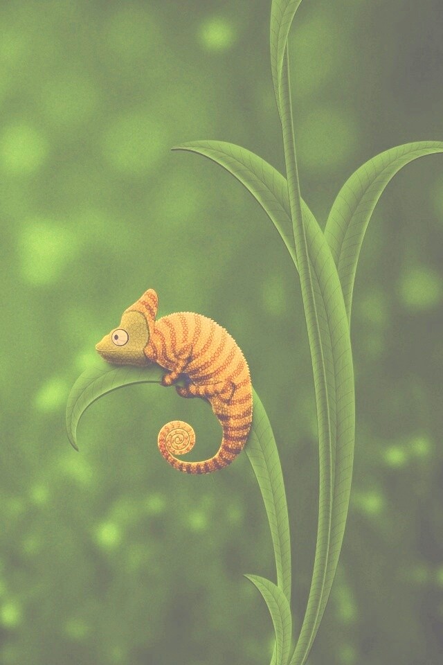Хамелеон замаскированный под улитку обои