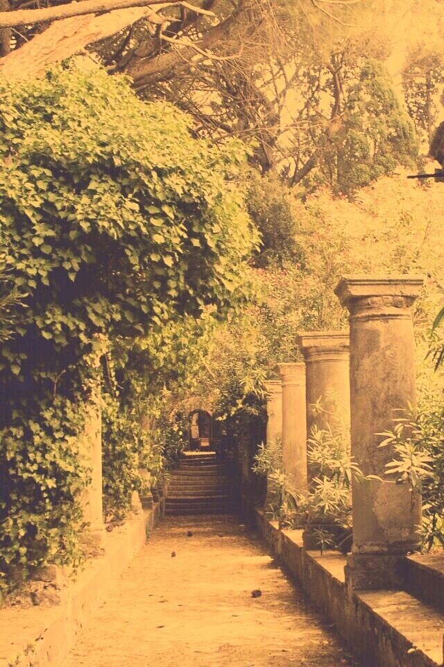 Галерея зимнего сада обои