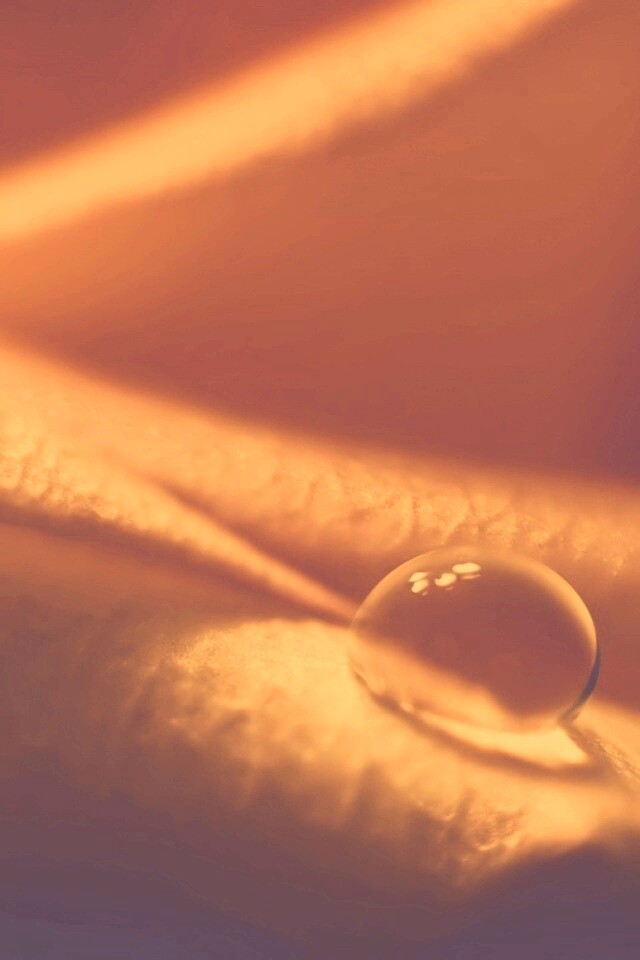 Капелька обои