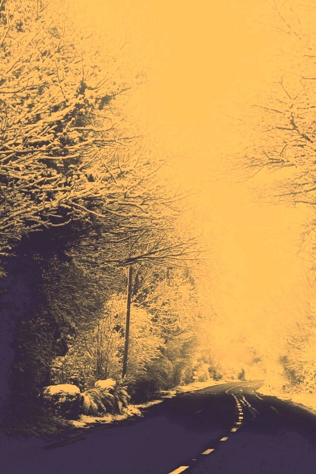 Дорога через зимний лес обои