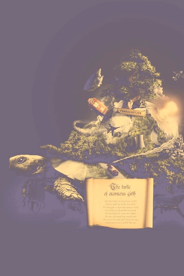 Огромная в обхвате черепаха обои