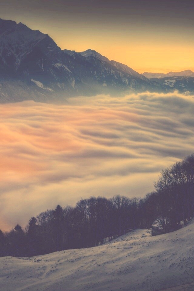 Туман в долине обои